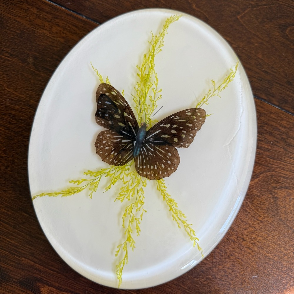 Vtg 70s MOD Lucite Acrylic Resin Oval Footed Trivet Butterfly Mid Century